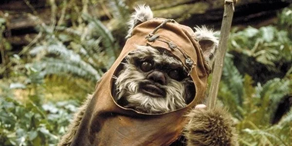 Le retour d'un Ewok dans Star Wars VII