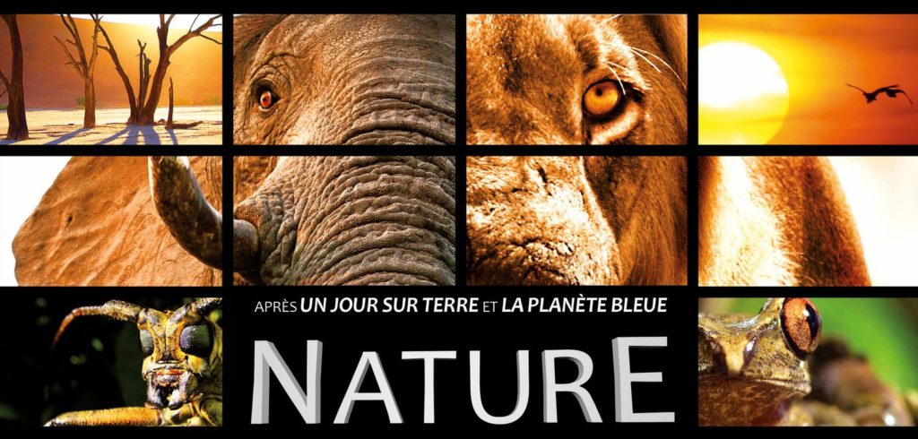 Nature prêts à vous perdre en Afrique