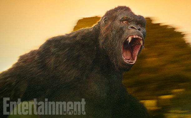 Kong : Skull Island dévoile la première image (nette) du King !