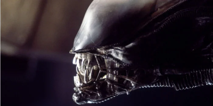 Alien 5 : fin du voyage pour l’équipage selon Ridley Scott