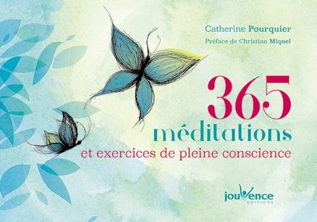 [Critique Livre] 365 méditations et exercices de pleine conscience pour une année zen