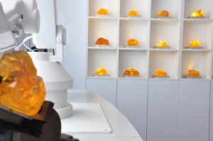 Exposition Jurassic World : faut-il dépenser sans compter ?