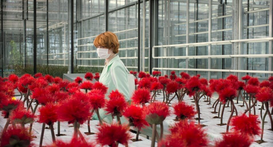 Cannes 2019 – Critique Little Joe : une fleur qui vous veut du bien Cannes 2019 - Critique Little Joe : une fleur qui vous veut du bien
