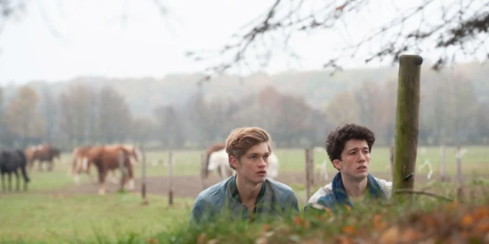 Critique How to Sell Drugs Online (Fast) saison 1 : trip survitaminé