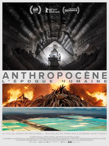 Critique - Anthropocène, l'époque humaine : chronique d'une auto-destruction annoncée