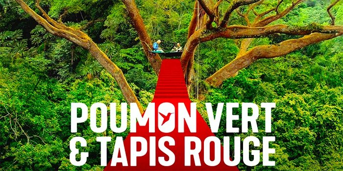 Critique Poumon vert et tapis rouge : fascinante jungle cinématographique