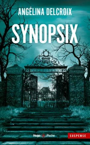 Critique Synopsix
