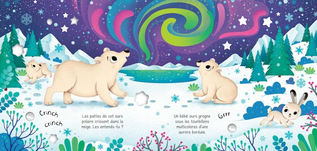 Critique Les animaux de la banquise : un livre sonore pour s’émerveiller Critique Les animaux de la banquise_3