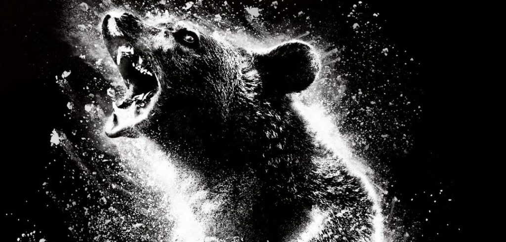 Critique Crazy Bear : poudre d’escampette Critique Crazy Bear