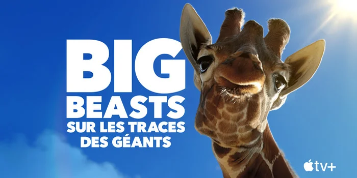 Martin Scorsese, sur les traces des géants, Miasma Chronicles … notre récap’ de la semaine Martin Scorsese, sur les traces des géants, Miasma Chronicles, … notre récap’ de la semaine