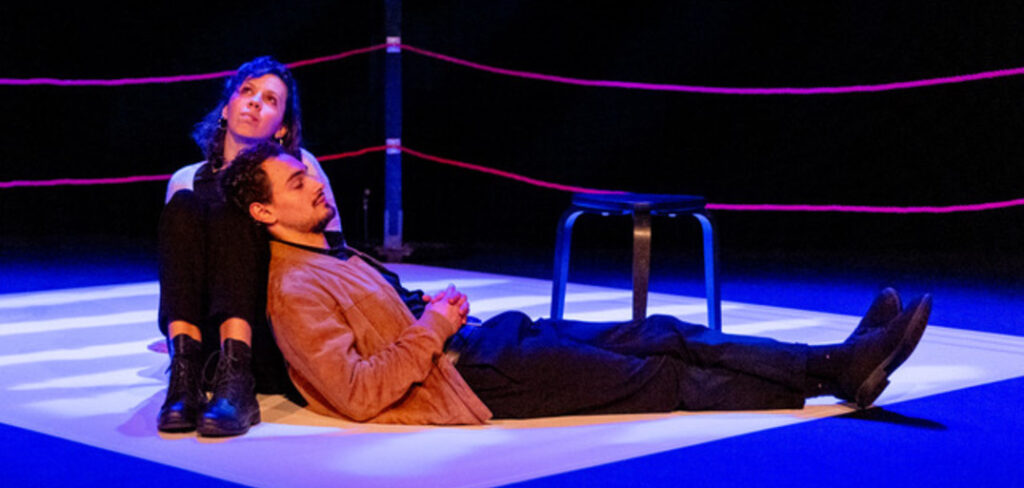 Avignon 2023 –Zébrures : mieux comprendre les HPI Critique Zébrures