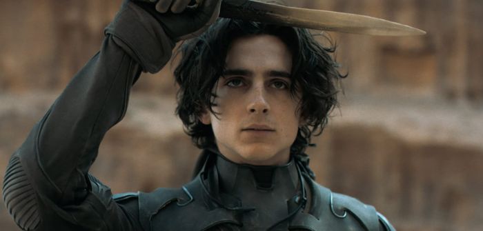 Timothée Chalamet : le récap’ de ses futurs projets films et séries