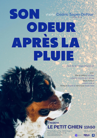 Critique Son odeur après la pluie_affiche