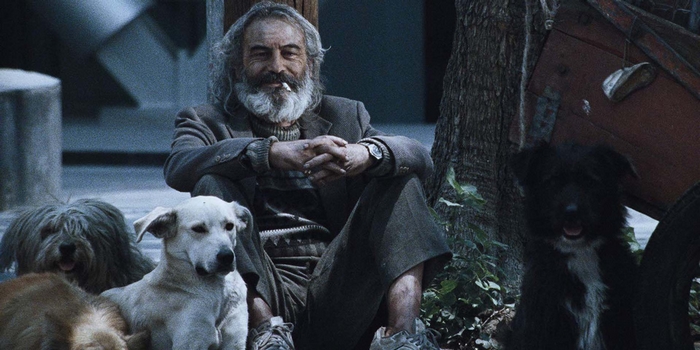 Critique Amours Chiennes : le renouveau du cinéma mexicain