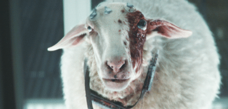 Alien : Earth Épisodes 1 et 2 : récap des premiers chapitres de la