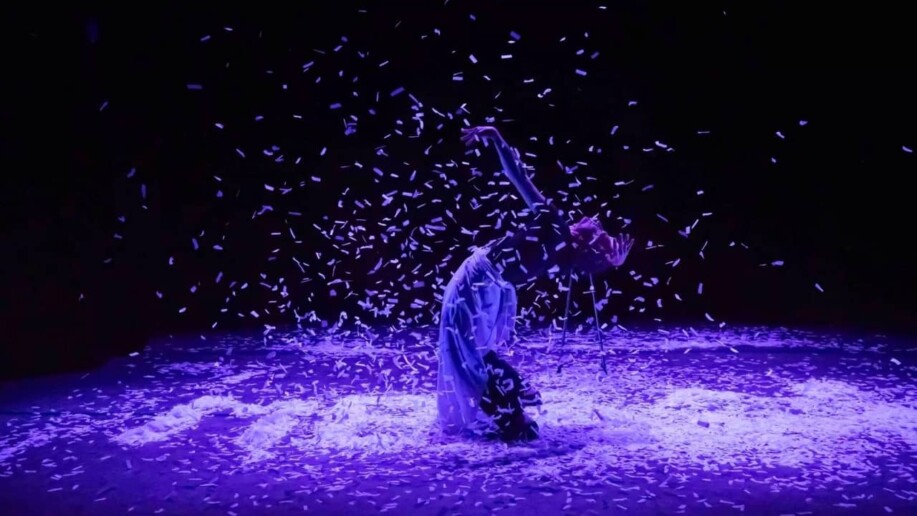 Critique Les paillettes de leurs vies