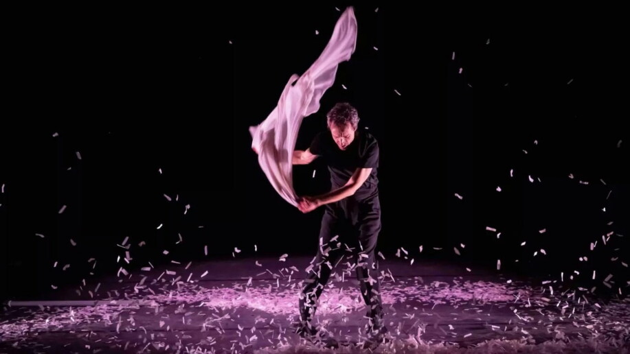 Critique Les paillettes de leurs vies_1