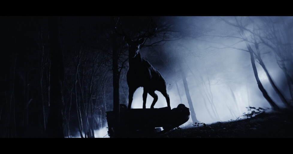 Sortie Blu-Ray, DVD & VOD - Bambi la Vengeance : revanche manquée