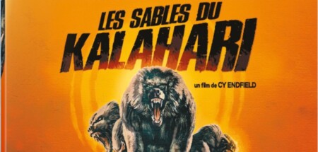 Sortie DVD, Blu-Ray - Les sables du Kalahari : survival éprouvant