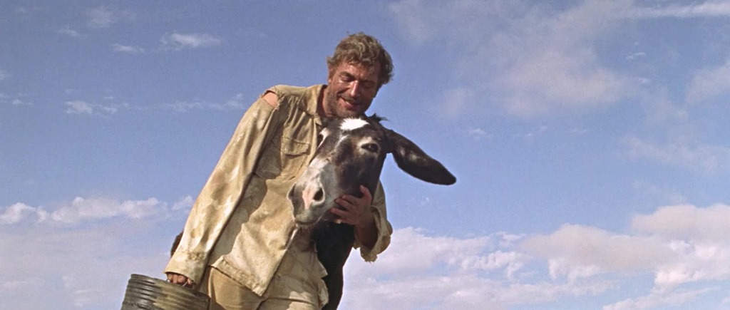 Sortie DVD, Blu-Ray - Les sables du Kalahari : survival éprouvant