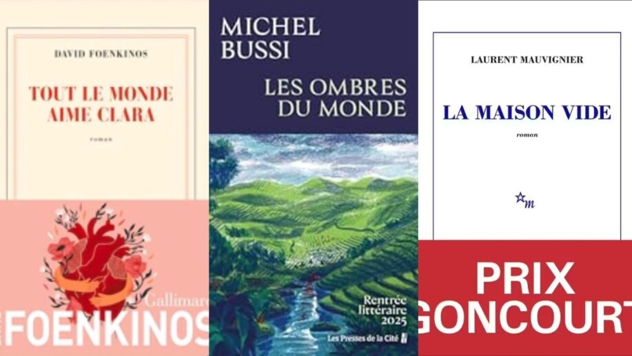 Top-10-des-auteurs-francophones-le-palmarès-Figaro-Gfk-2025-2.jpg