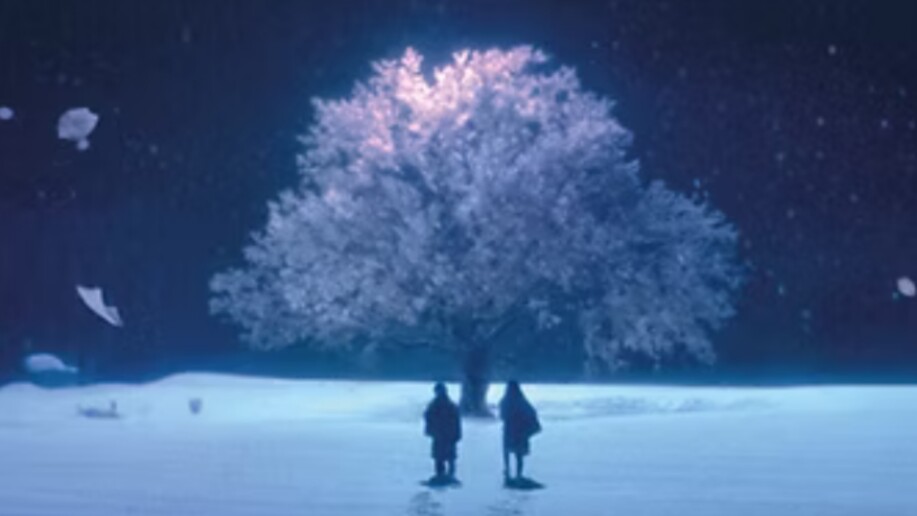 Critique 5 centimètres par seconde : fresque sentimentale sensible et poétique