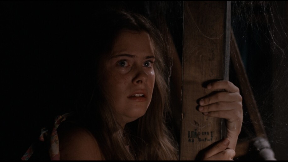 Sortie DVD, Blu-Ray, VOD – Le cri des ténèbres : avez-vous vérifié votre cave récemment ?