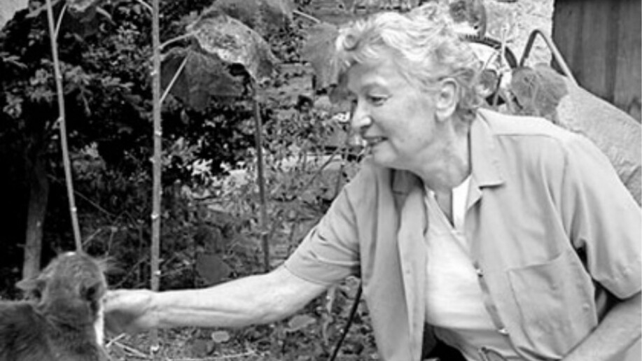 Récap culture : Festival de Cannes, Heat 2, X-Files…