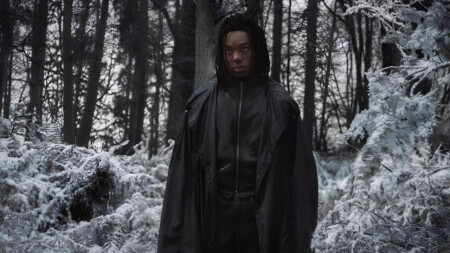 Harry Potter, Céline Dion, Tik Tok… notre récap’ de la semaine