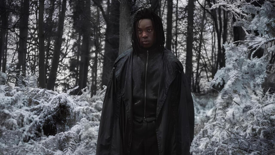 Harry Potter, Céline Dion, Tik Tok… notre récap’ de la semaine