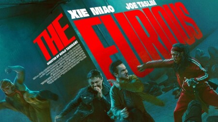 Critique The Furious : mortels combats