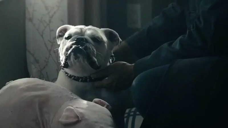 Récap The Boys saison 5 épisode 5 - Pulp Fiction de ses morts (SPOILERS)