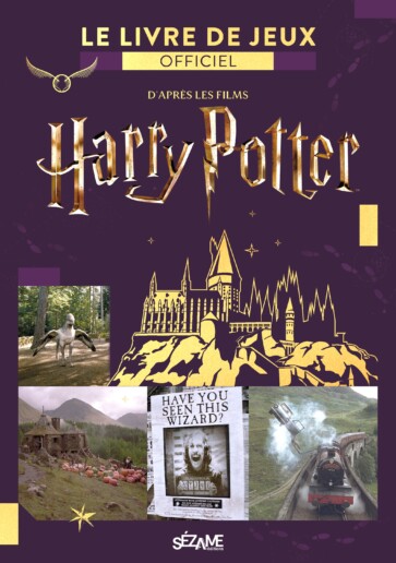 Critique Le Livre de jeux officiel Harry Potter